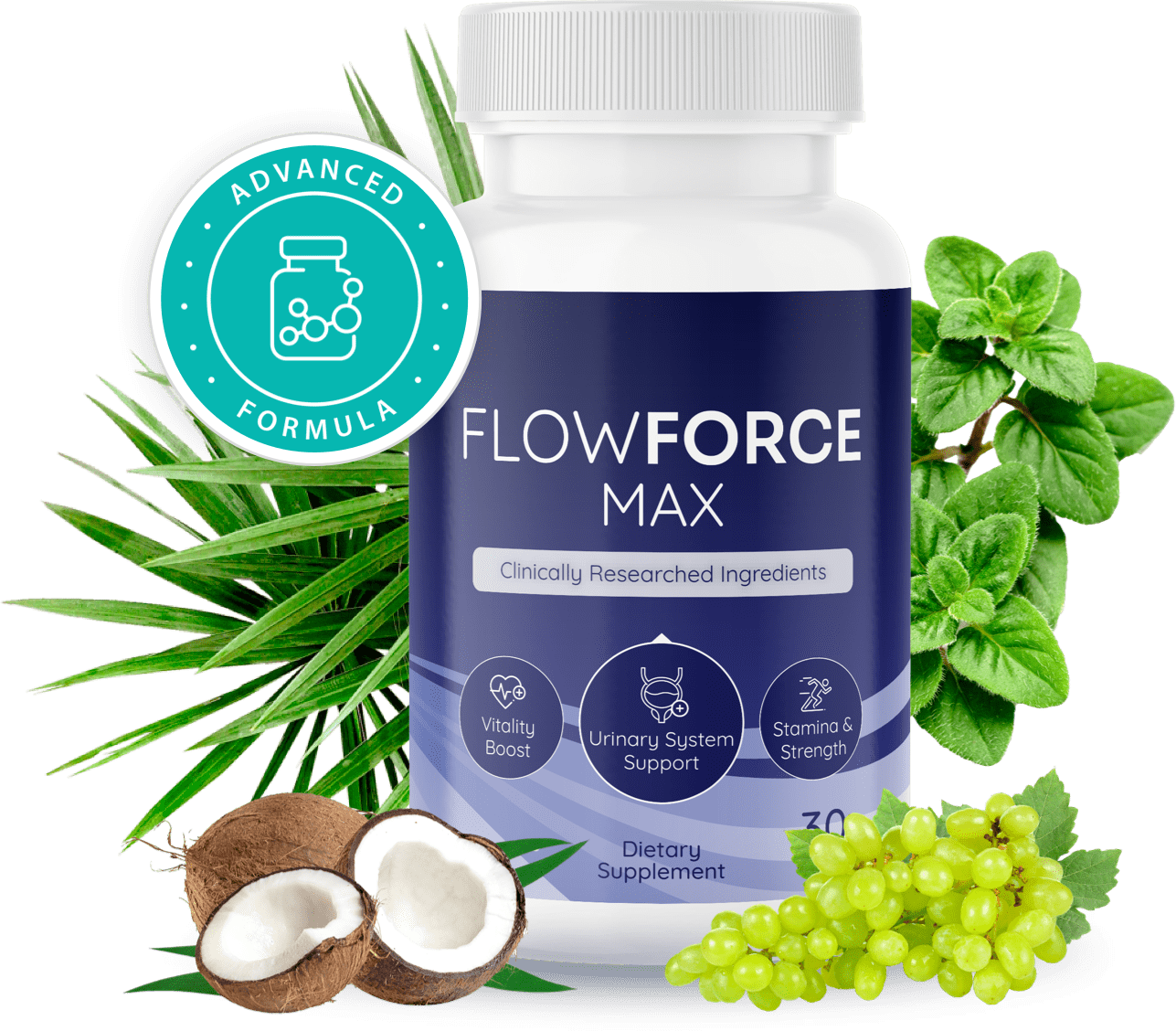 FlowForce Max is an innovative,.png