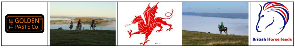 Red_Dragon_logos.png
