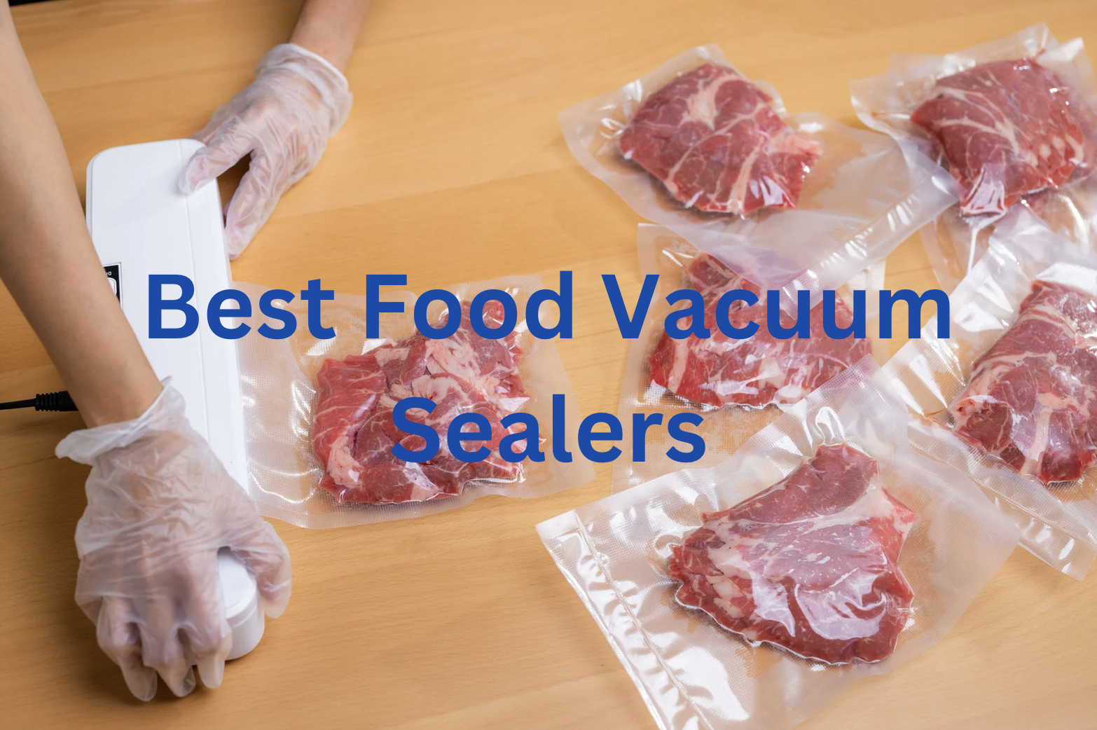 6 Best Food Vacuum Sealers To Keep Food Fresh
