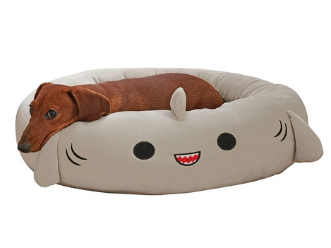 https://groups.google.com/a/seoconsultinggroup.com/group/best-squishmallow-pet-bed/attach/6475af8aa8a50/Squishmallow.png?part=0.3&view=1