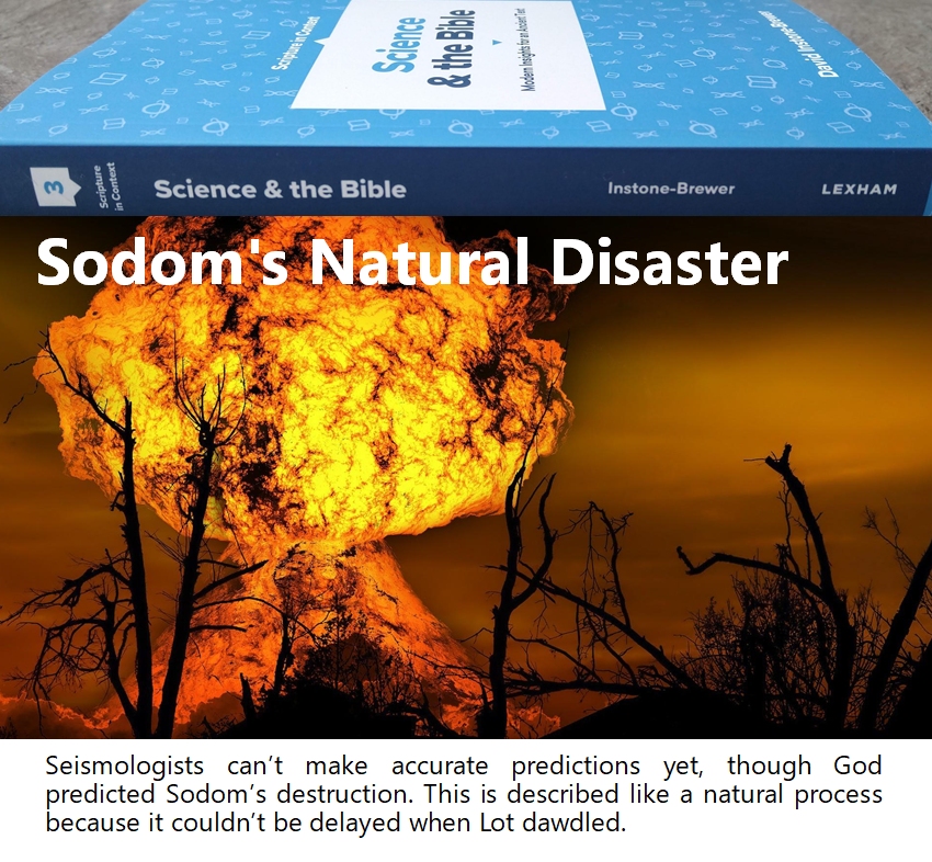 27-Sodoms natural disaster.jpg