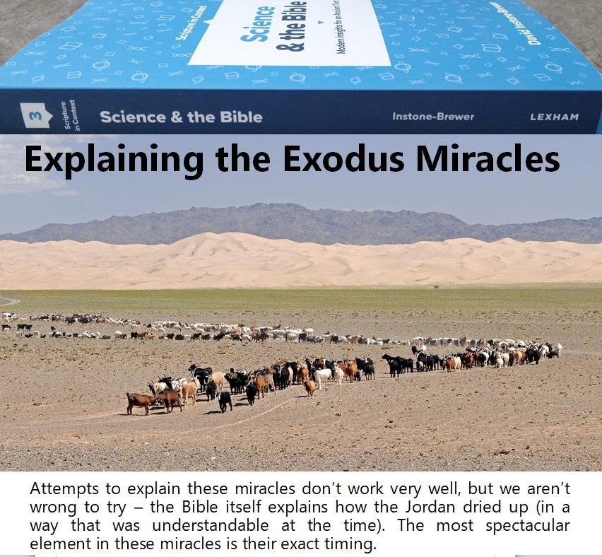 28-Exodus miracles.jpg