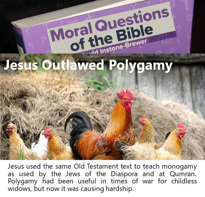 Polygamy_outlawed.jpg