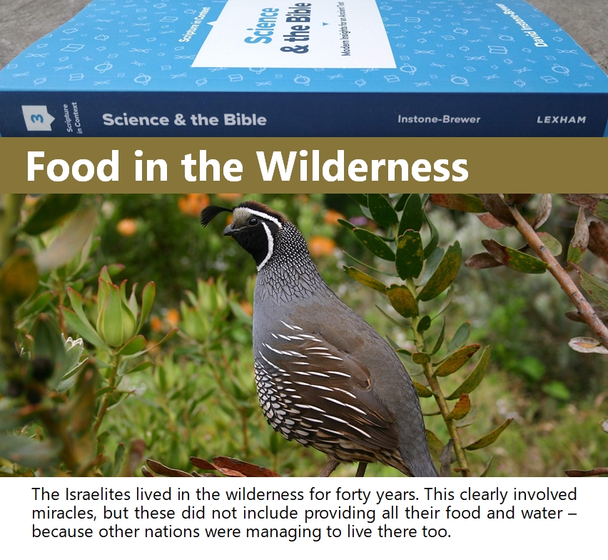 29-Food in wilderness.jpg