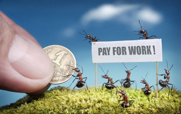 حياة نملة: 30 صورة مذهلة لعالم النمل. Image006