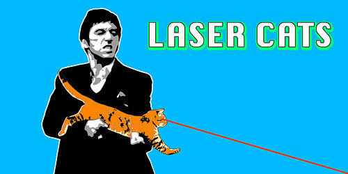 laser_cats-5136.jpg