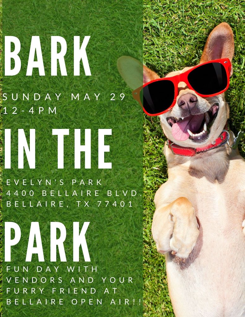 Green Dog with Shades Pet Fundraising Flyer-2.JPG