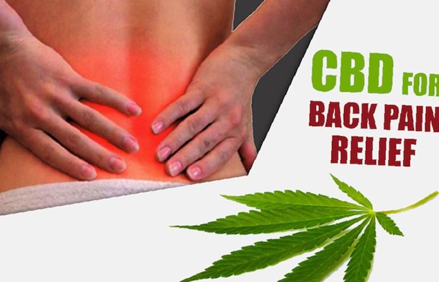 CBD_for_back_pain_relief.jpg