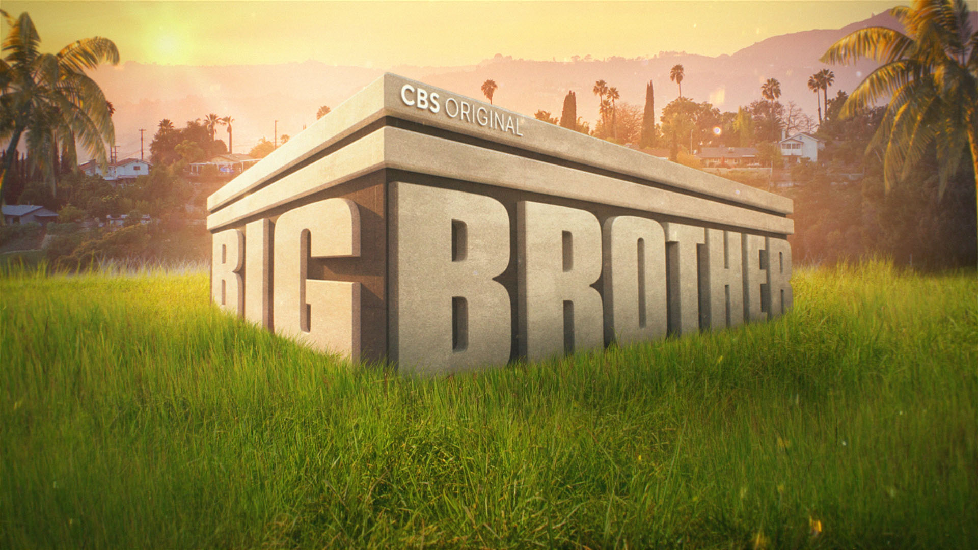 Big Brother US 18.jpg