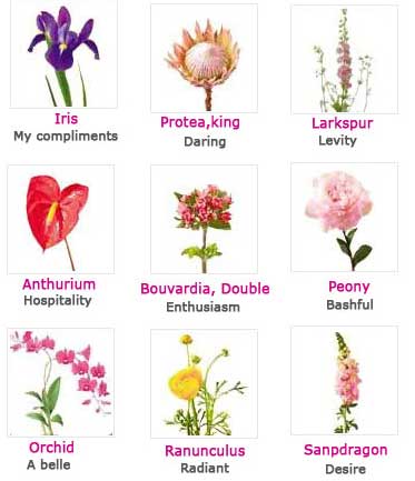 Fwd Flowers And Their Meanings