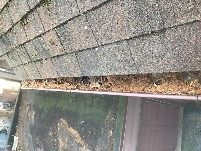 Gutter-Cleaners-In-Naperville-IL-60532.jpg