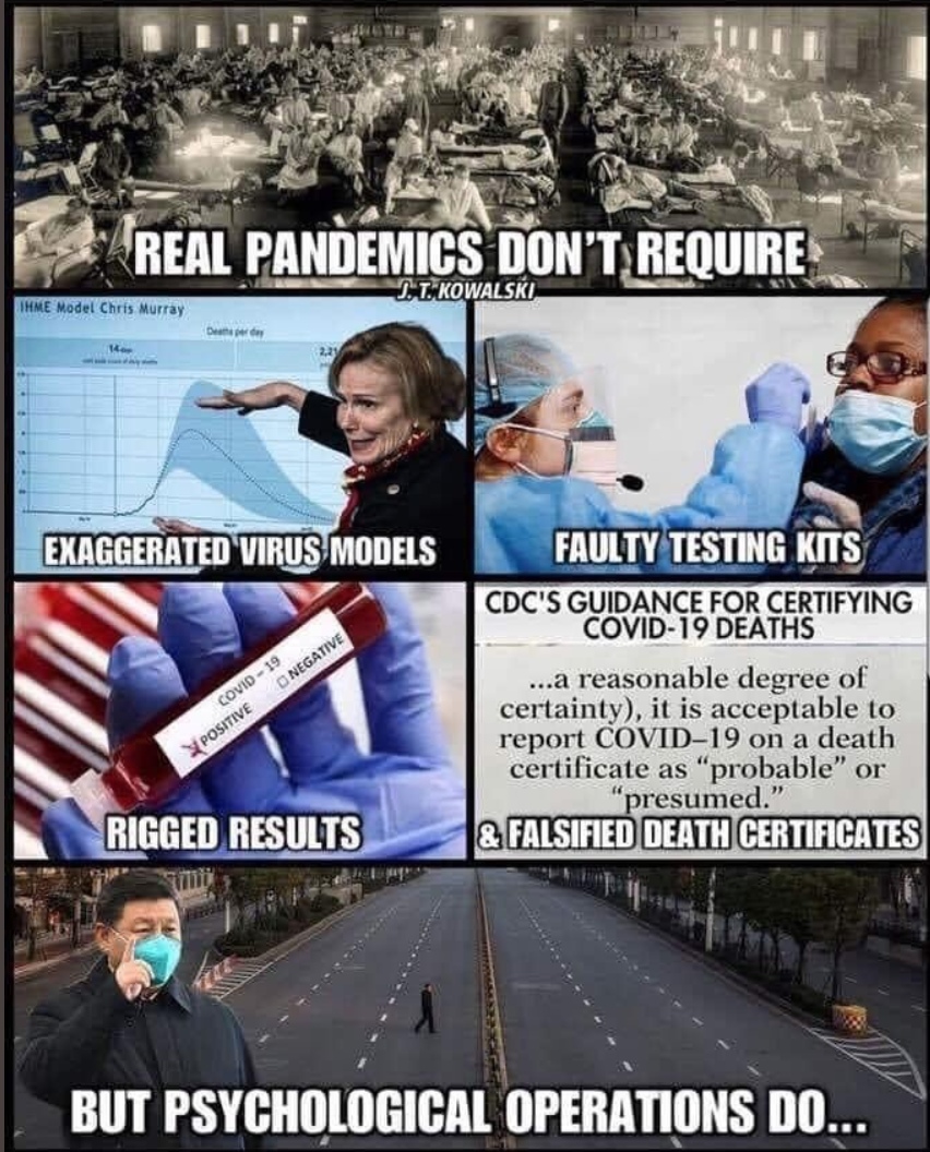 Real-pandemics.jpg
