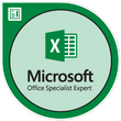 Microsoft Office Specialist: Excel Expert