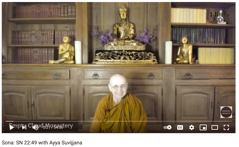 Ayya Suvijjana Buddhist Insights  Sona SN 22-49 YouTube.png