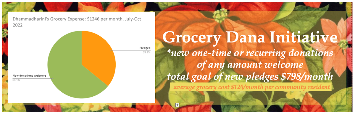 10 Grocery initiative3.png