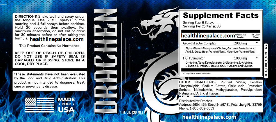 Drachen-healthline.png