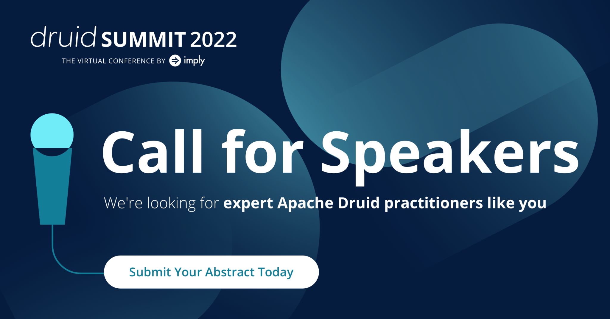 Virtual Druid Summit CFP.jpeg