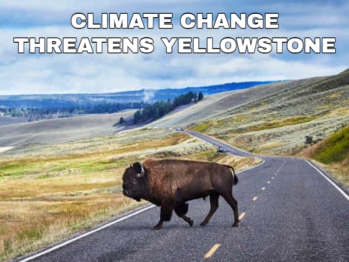 Final Yellowstone climate impacts .jpg