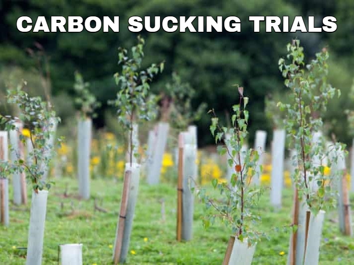 carbon sucking trials.jpg