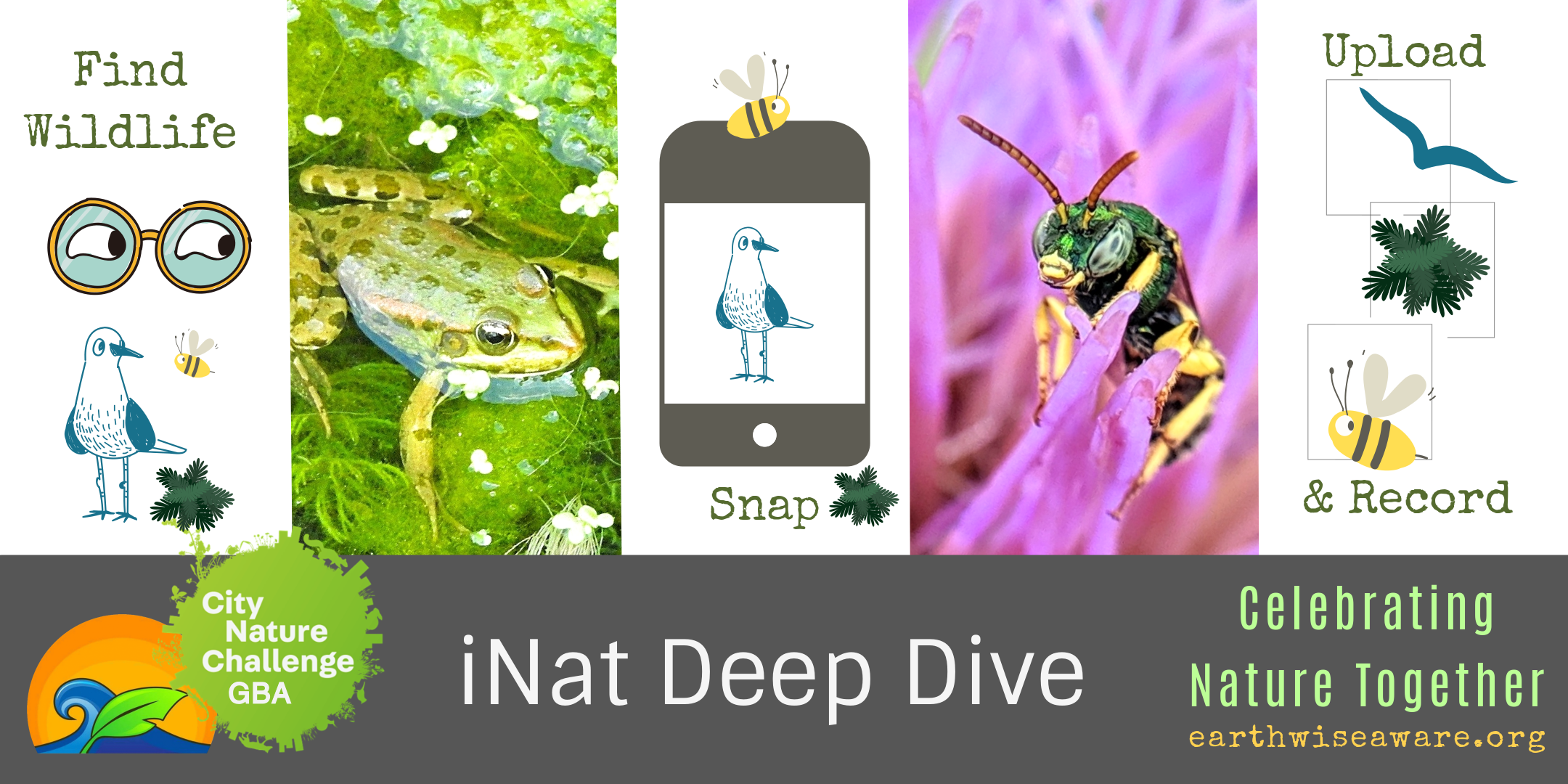 iNat Deep Dive.png