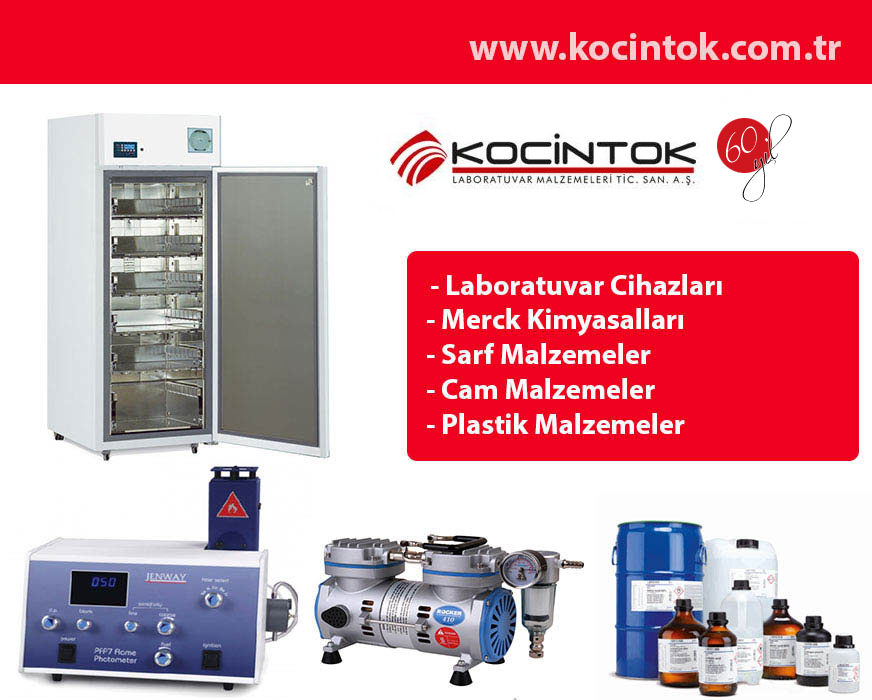 kocintok.com.tr.jpg