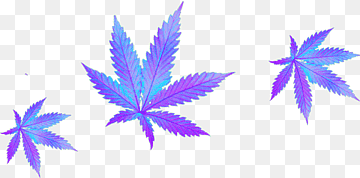 png-transparent-cannabis-marijuana-iridescent-purple-blue-pot-weed-hippie-grass-cbd-thumbnail.png