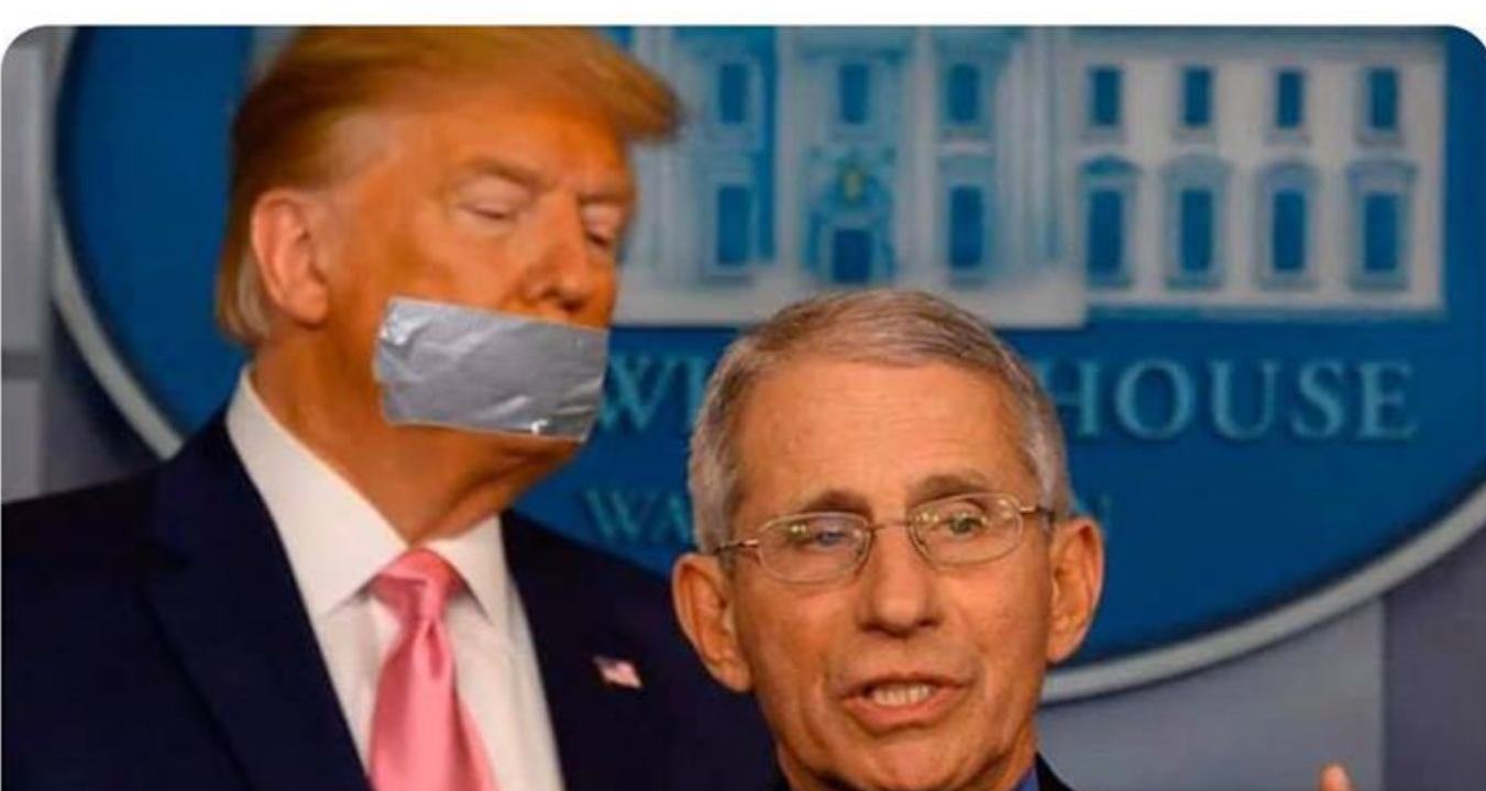 Fauci's face mask.png