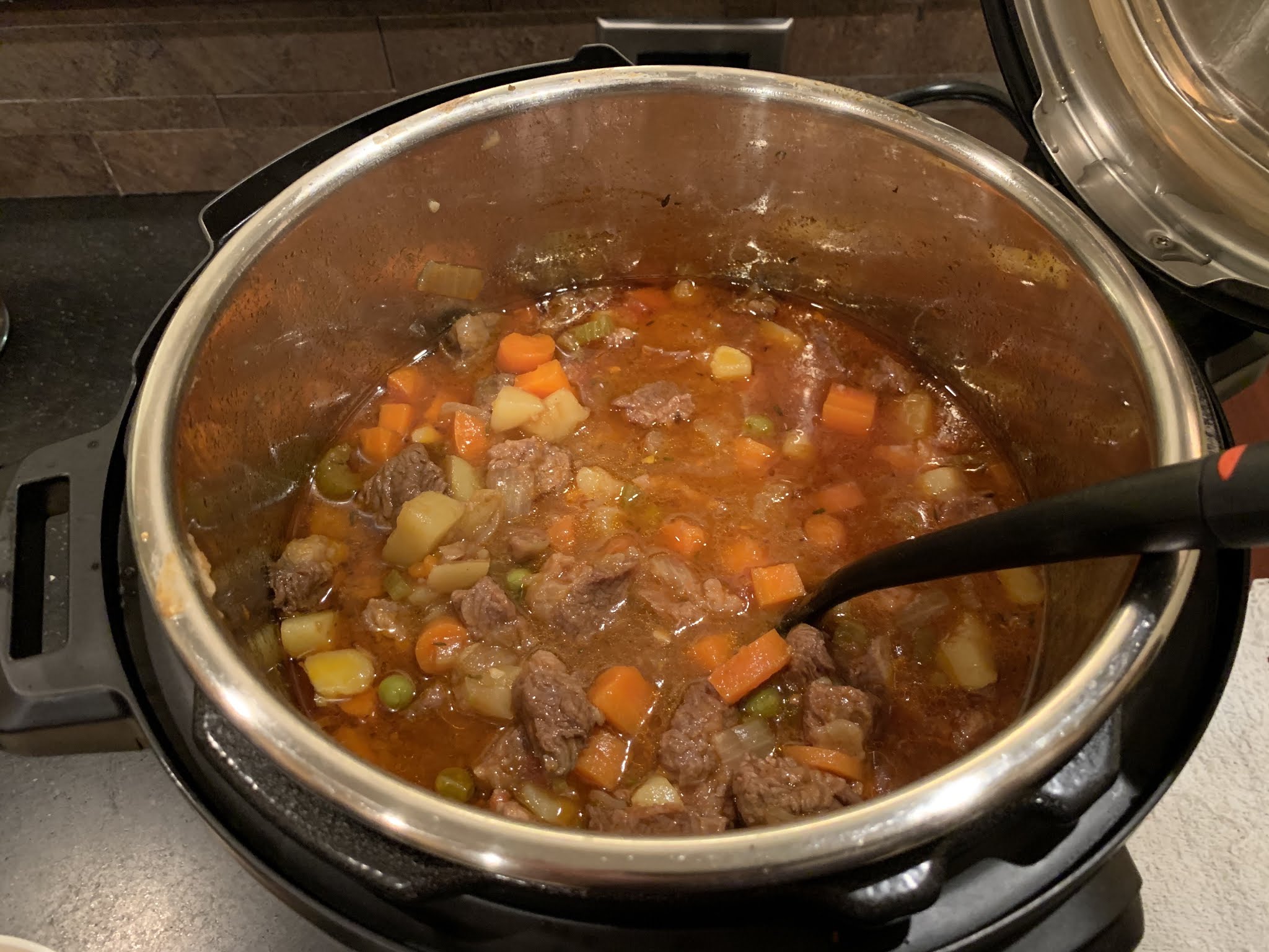 beef-stew.JPG