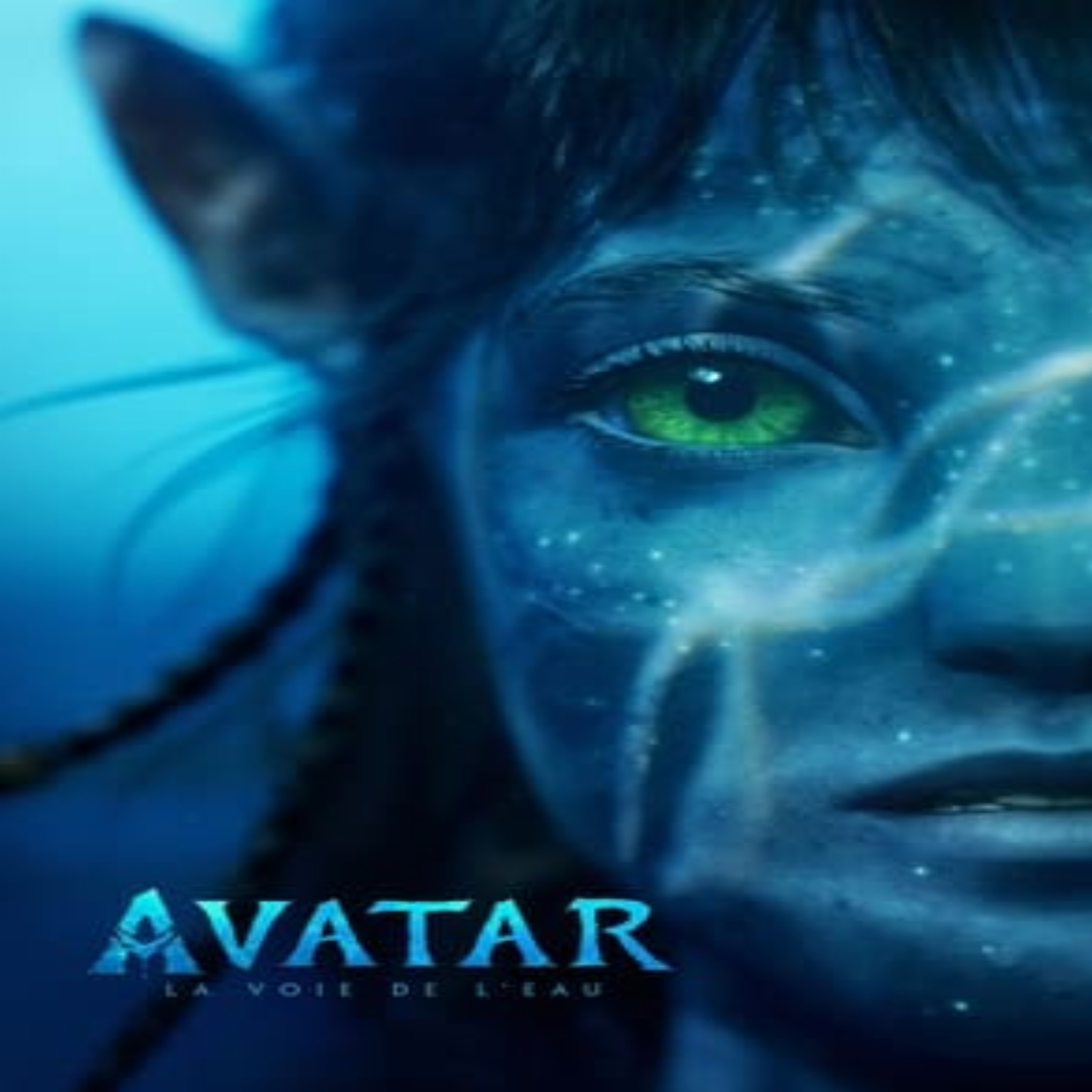 Avatar 2 La Voie de l'eau film complet.jpg