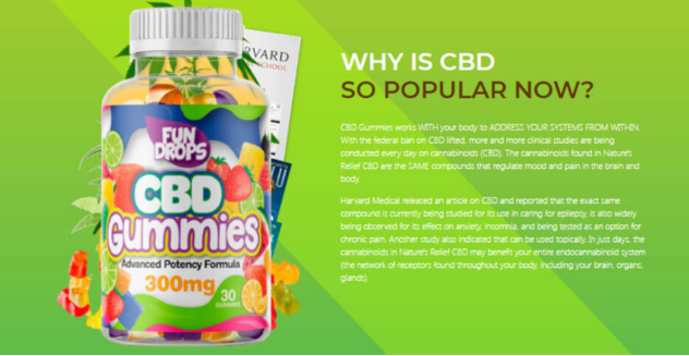 Fun Drops CBD Gummies Buy.png