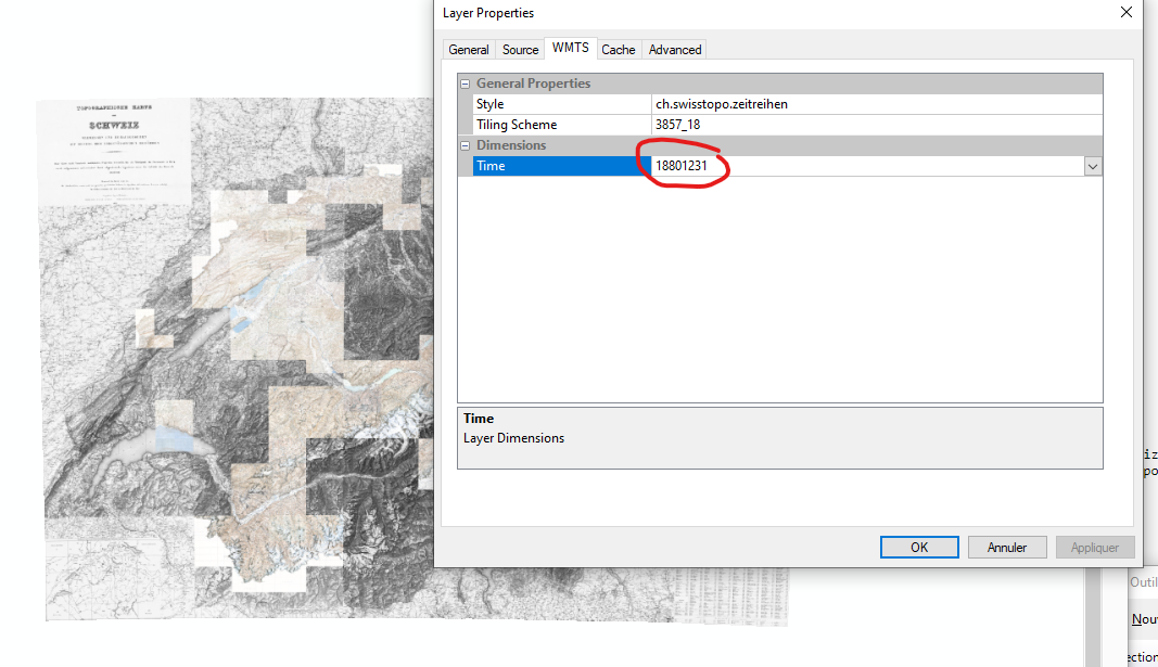 arcgis_wmts (2).png
