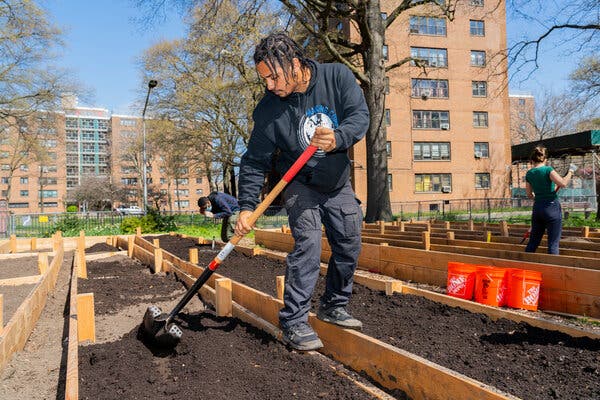 Domingo Morales, founder of Compost Power, at a pubic housing complex in Canarsie, Brooklyn, last month. “I have all this burning energy that never dwindles,” he said. 