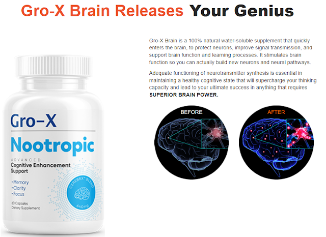 Gro-X Brain Pills.png
