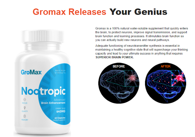 GroMax Nootropic 1.png
