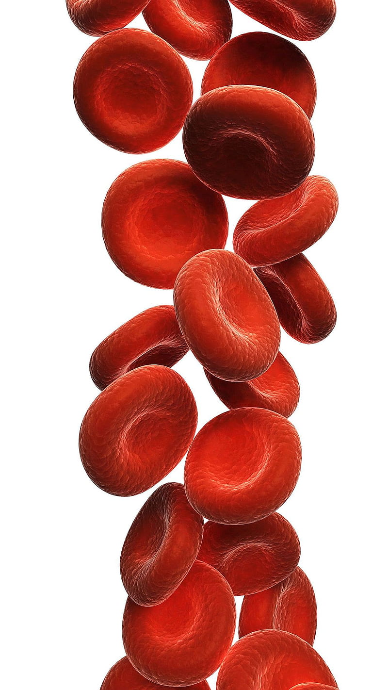 HD-wallpaper-blood-cells.jpg