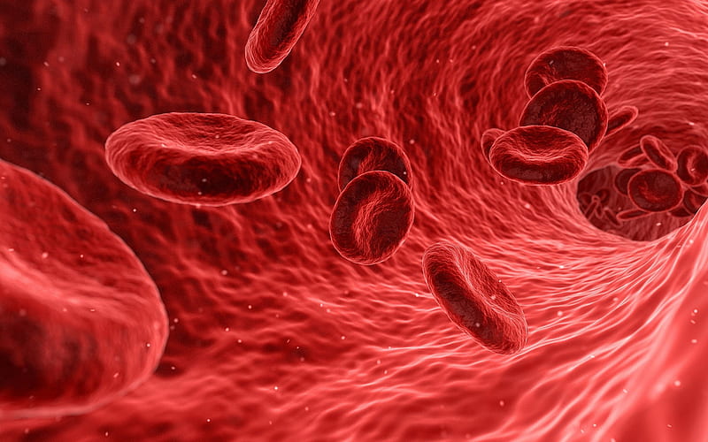 HD-wallpaper-blood-concepts-red-blood-cells-erythrocytes-science-biology-red-cells-red-blood-corpuscles-erythroid-cells-blood-structure.jpg