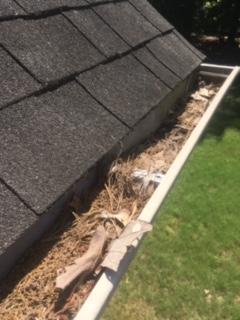 Gutter-Cleaning-Company-Charlotte-NC-28234.jpg