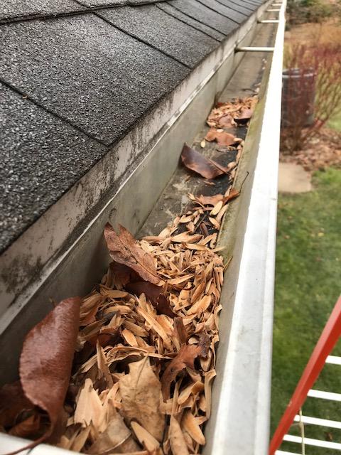 Gutter-and-downspout-cleaning.jpg