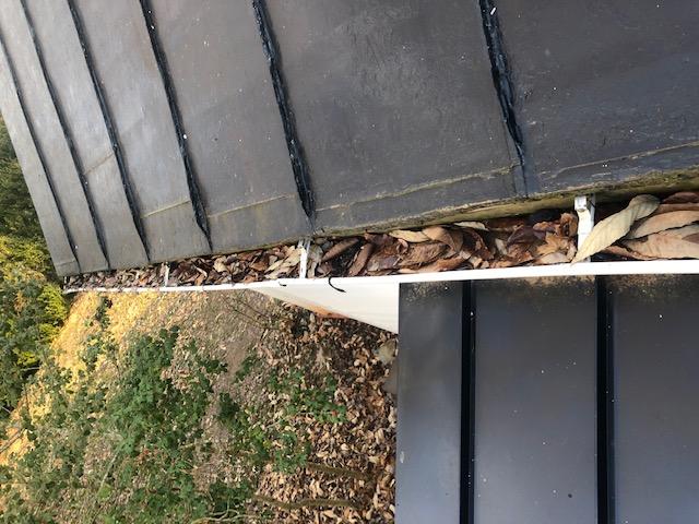 Gutter-Cleaning-Company-Tallahassee-FL.jpg