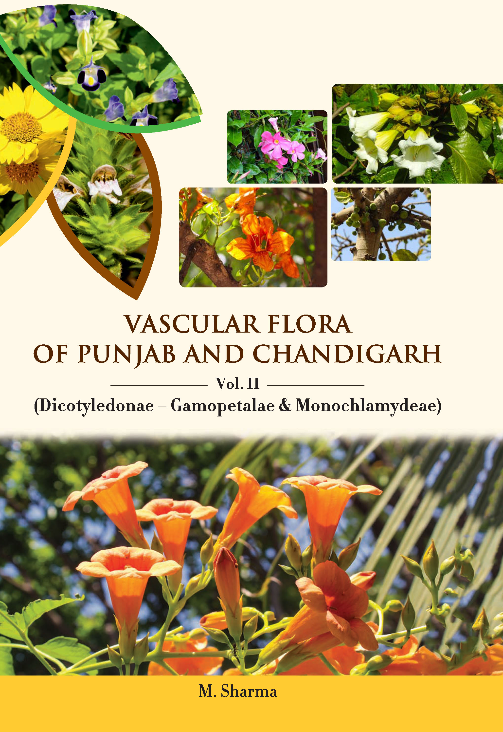 Vascular Flora of Punjaband Chandigarh Volume 2.jpg