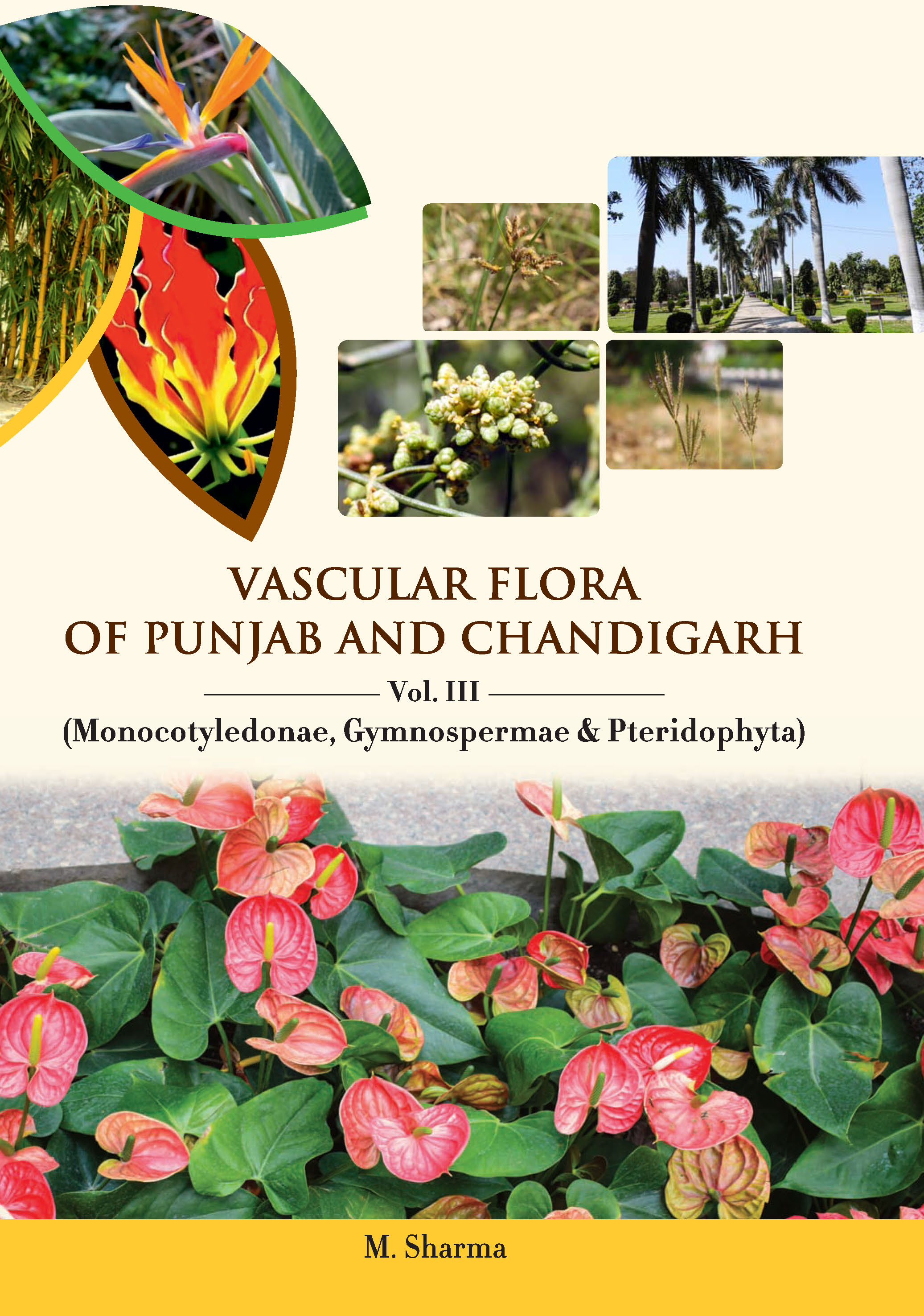 Vascular Flora of Punjaband Chandigarh Volume 3.jpg