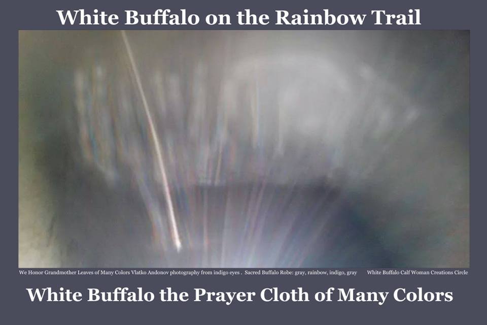 White Buffalo on the Rainbow Trail.jpg