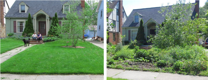 before-after front yard garden