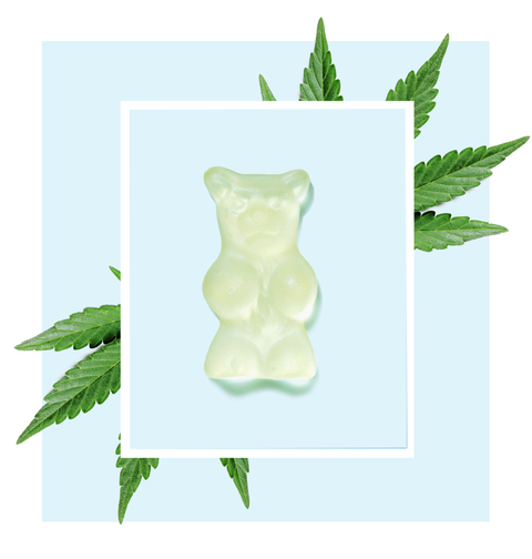how-to-use-cbd-illos-edible-gummy-bear-1581700693.png