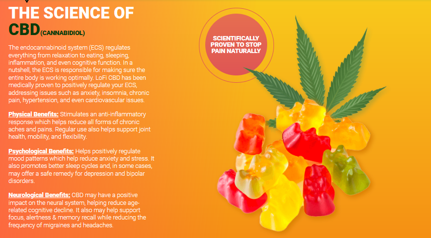 Lofi CBD Gummies Benefits.PNG