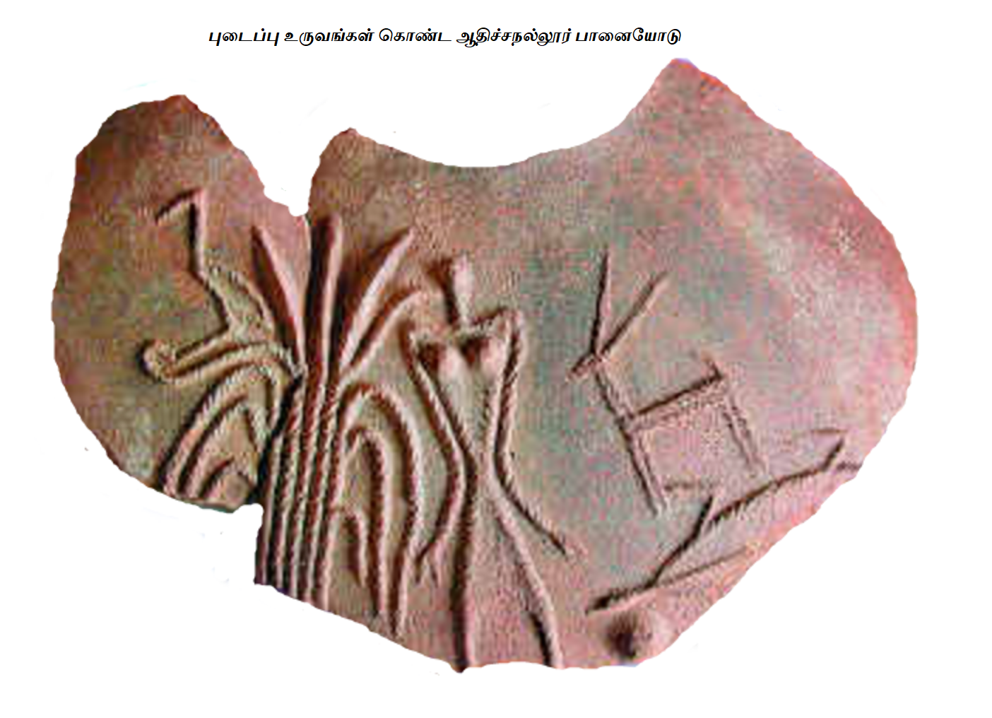 Adichanallur- artifact.png
