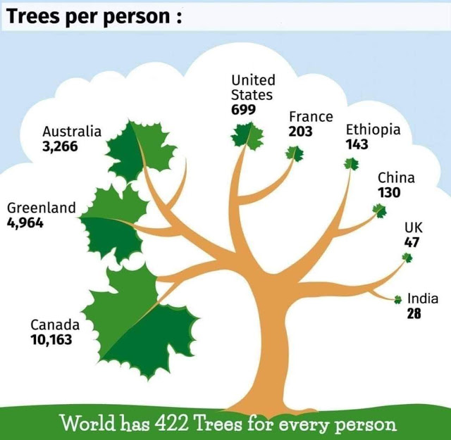 trees per person.jpg