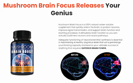 Mushroom Brain Boost Buy Now.png