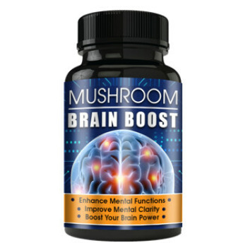brain-focus-boost-mushroom-brain-boost_full_1639120839.jpg