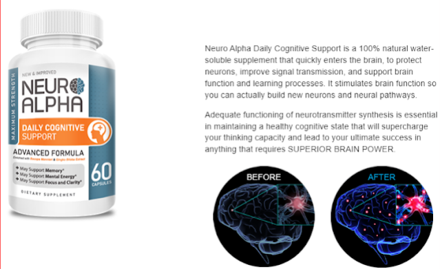 Neuro Alpha Brain  3.png